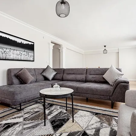2br Flat In Osmanbey